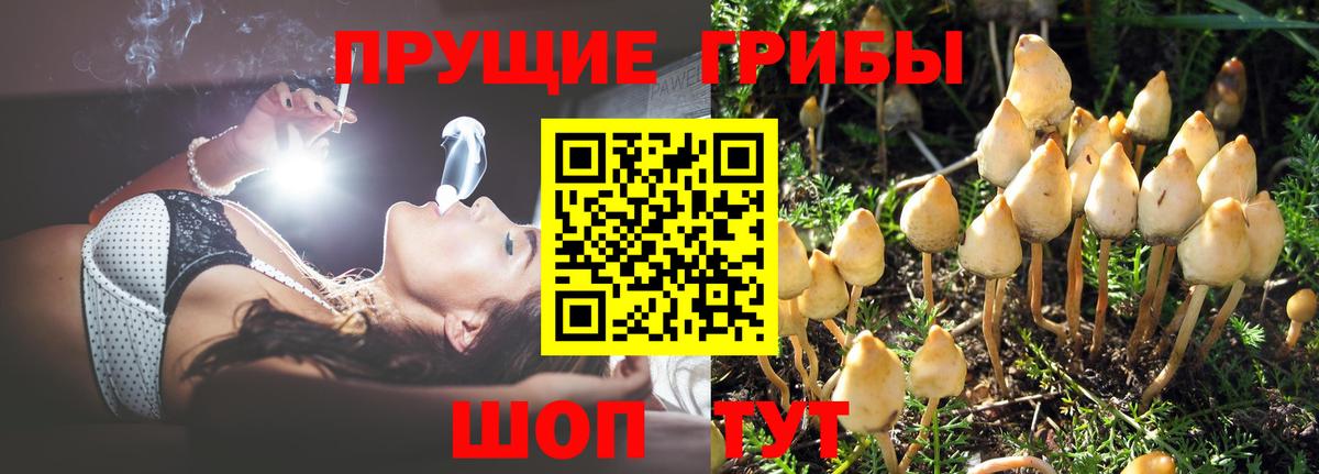 цены наркотик  Галлюциногенные грибы Psilocybine cubensis  Вход с VPN  Таганрог 