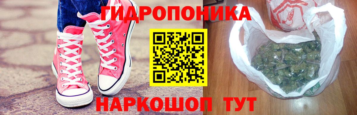 Бошки Шишки план Таганрог